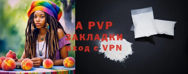 стафф Алексин