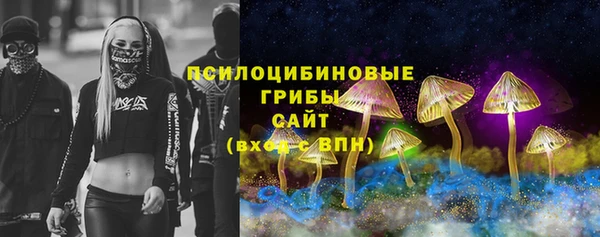 Альфа ПВП Алзамай