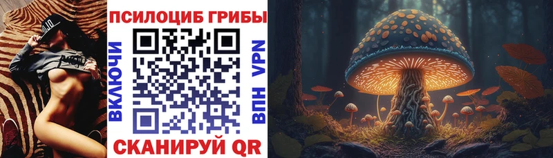 наркотики Комсомольск Галлюциногенные грибы MAGIC MUSHROOMS