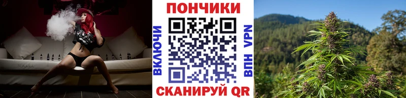 Конопля гибрид  Комсомольск 